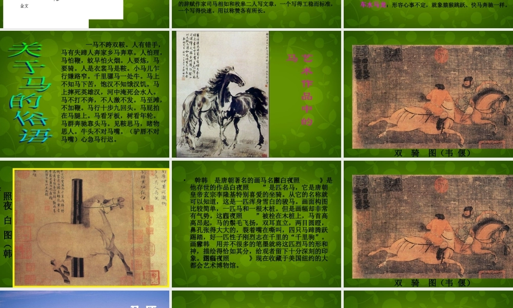 中学七年级语文下册 第六单元 综合性学习 马的世界课件 新人教版 课件