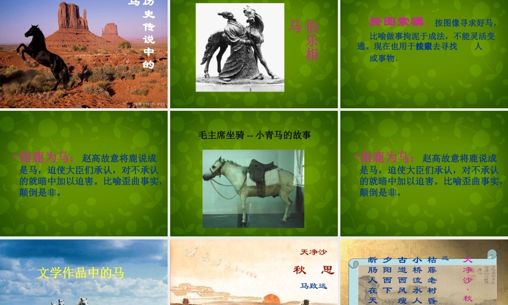 中学七年级语文下册 第六单元 综合性学习 马的世界课件 新人教版 课件