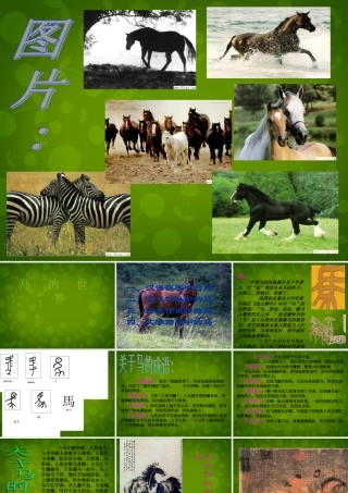 中学七年级语文下册 第六单元 综合性学习 马的世界课件 新人教版 课件