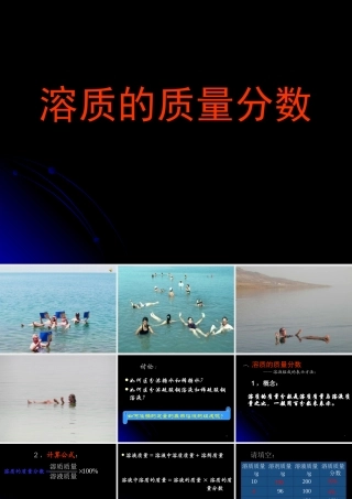 新课标初三化学溶质的质量分数 课件