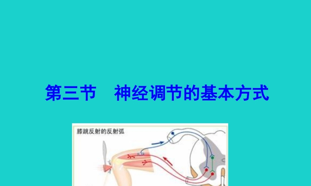 七年级生物下册 4.6.3 神经调节的基本方式课件(新版)新人教版 课件