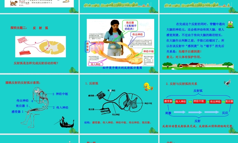 七年级生物下册 4.6.3 神经调节的基本方式课件(新版)新人教版 课件