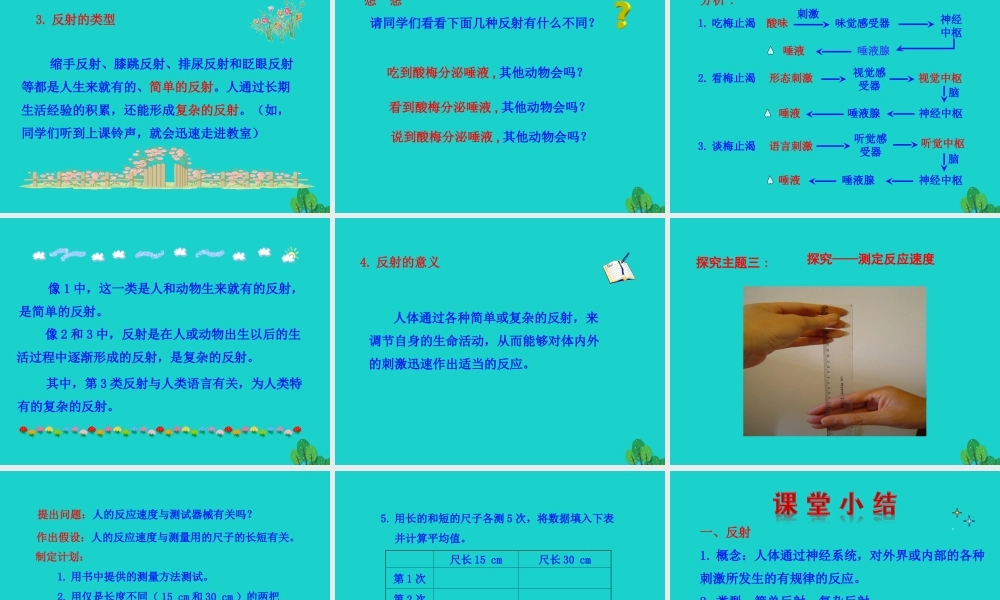 七年级生物下册 4.6.3 神经调节的基本方式课件(新版)新人教版 课件