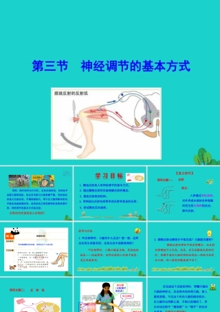 七年级生物下册 4.6.3 神经调节的基本方式课件(新版)新人教版 课件