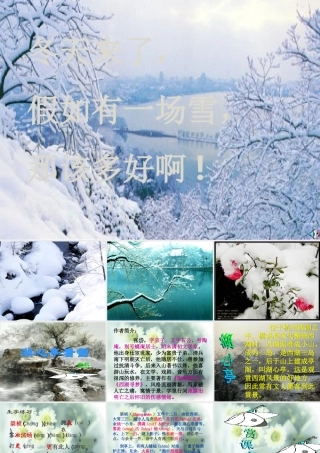 八年级语文上册(湖心亭看雪)优秀课件(42页) 人教新课标版 课件