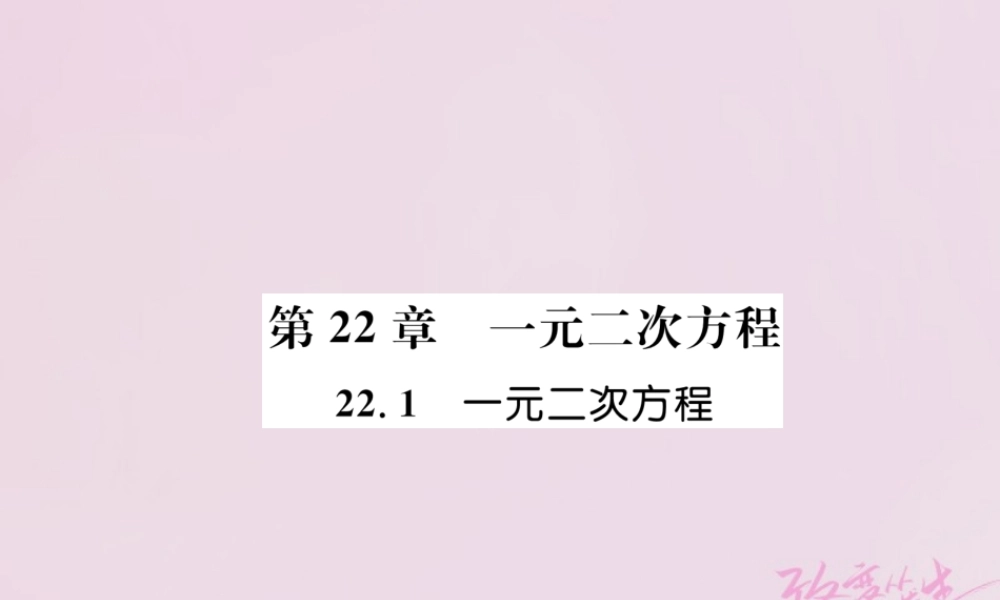 九年级数学上册 第22章 一元二次方程 221 一元二次方程练习课件 (新版)华东师大版 课件