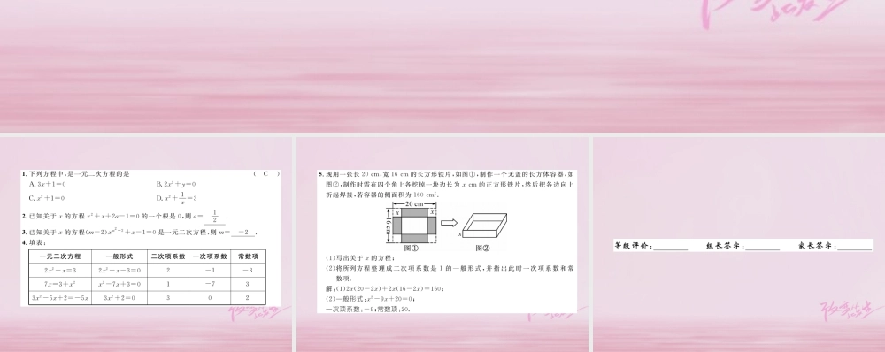 九年级数学上册 第22章 一元二次方程 221 一元二次方程练习课件 (新版)华东师大版 课件