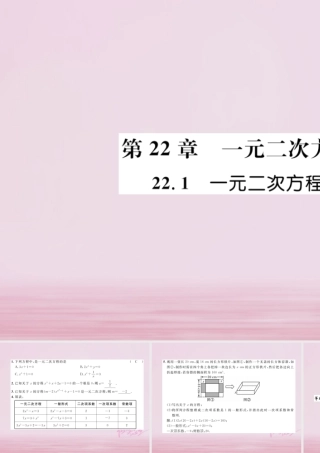 九年级数学上册 第22章 一元二次方程 221 一元二次方程练习课件 (新版)华东师大版 课件