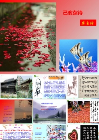 八年级语文下册(己亥杂诗)课件 人教新课标版 课件