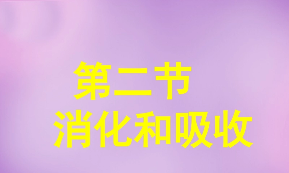 中学七年级生物下册 2.2 消化和吸收课件3 新人教版 课件