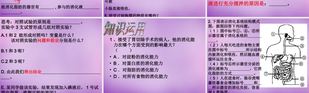 中学七年级生物下册 2.2 消化和吸收课件3 新人教版 课件