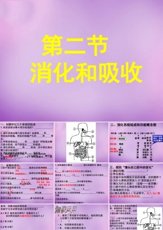 中学七年级生物下册 2.2 消化和吸收课件3 新人教版 课件
