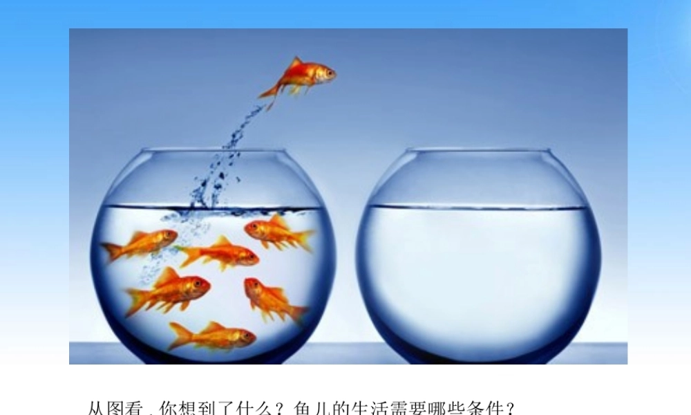 七年级生物下册 第四节-计划生育课件 人教新课标版 课件