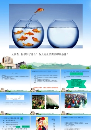 七年级生物下册 第四节-计划生育课件 人教新课标版 课件