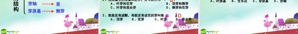 八年级生物上册 芽的类型和结构课件 济南版 课件