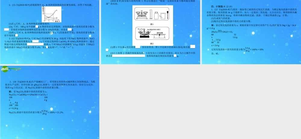 中考化学 溶液训练课件