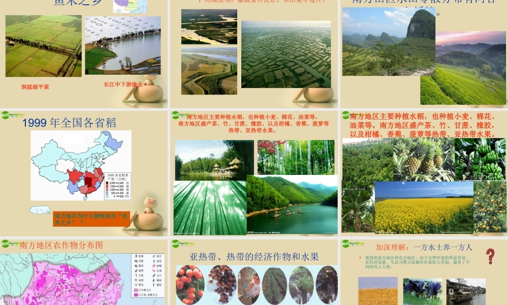 八年级地理下册 第一节 南方地区自然特征与农业课件 (新版)新人教版 课件