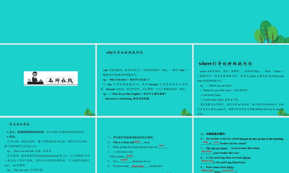 原七年级英语下册 Unit 5 Why do you like pandas(第3课时)(Grammar Focus 3c)同步语法精讲精练课件 (新版)人教新目标版 课件