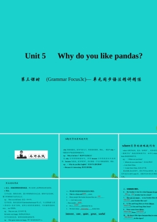 原七年级英语下册 Unit 5 Why do you like pandas(第3课时)(Grammar Focus 3c)同步语法精讲精练课件 (新版)人教新目标版 课件