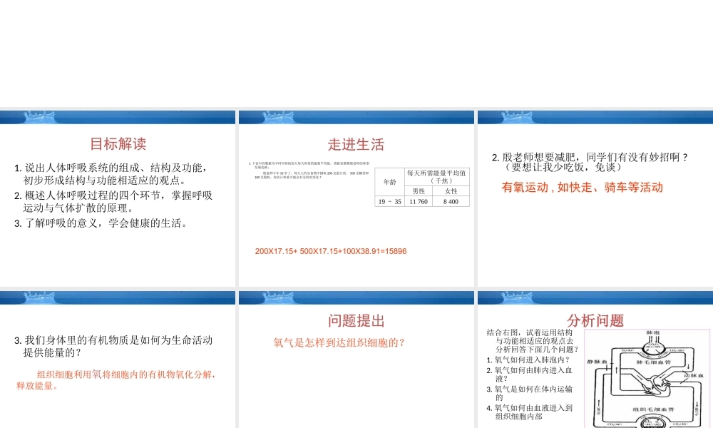 七年级生物下册 人的生活需要空气课件 济南版 课件