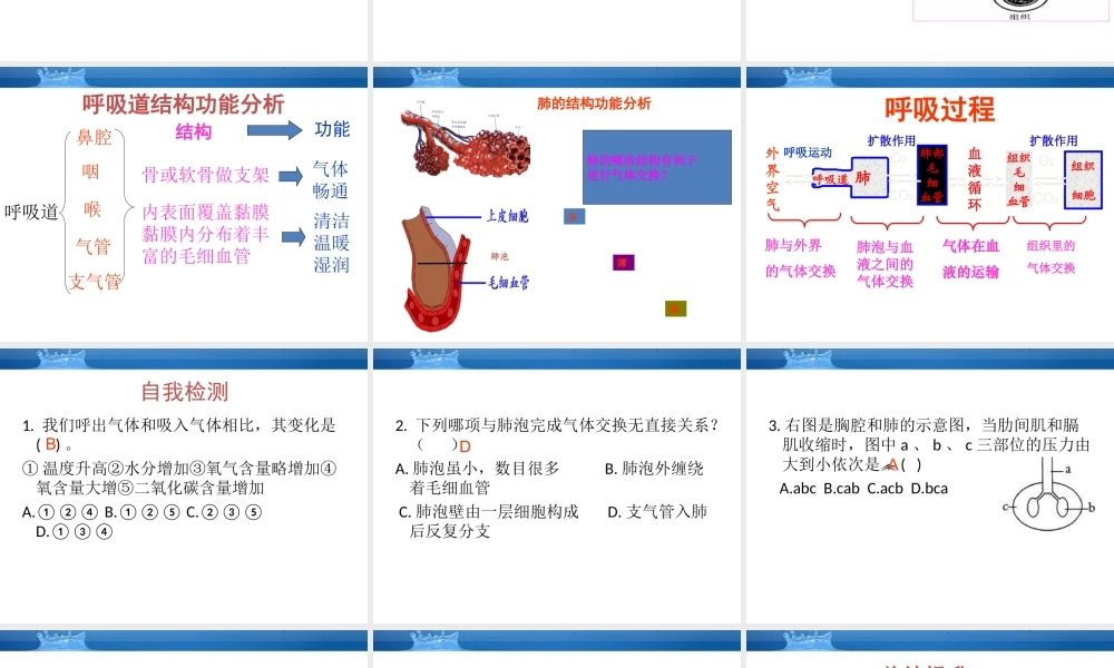 七年级生物下册 人的生活需要空气课件 济南版 课件