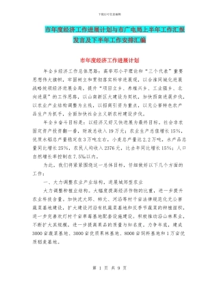 市年度经济工作发展计划与市广电局上半年工作汇报发言及下半年工作安排汇编