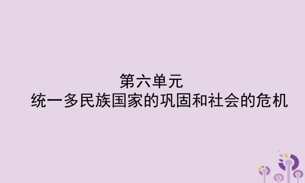 中考历史备战复习 中国古代史 第六单元 统一多民族国家的巩固和社会的危机课件