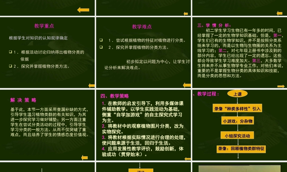 八年级生物尝试对生物进行分类课件