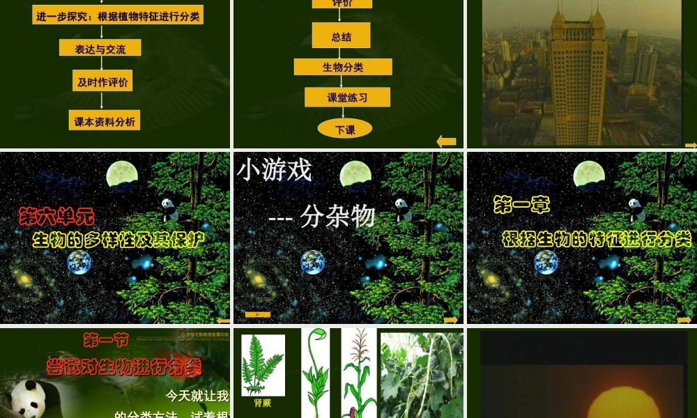 八年级生物尝试对生物进行分类课件