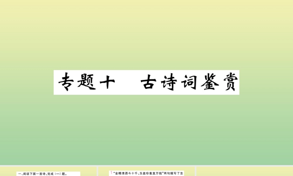 九年级语文上册 专题十 古诗词鉴赏作业课件 新人教版 课件