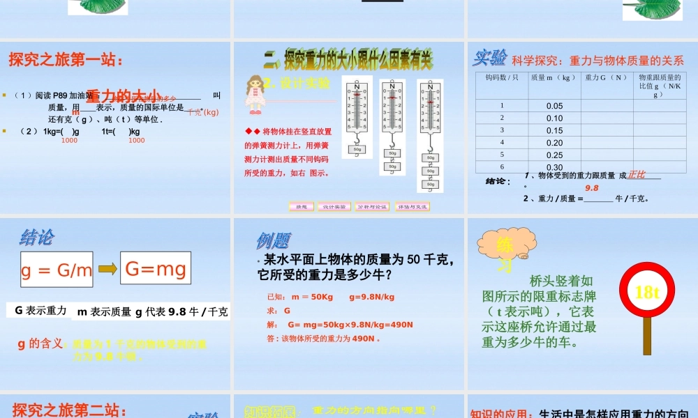 八年级物理 5.4来自地球的力课件 沪科版 课件