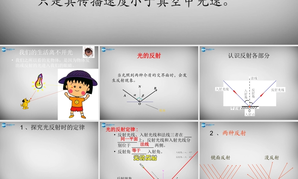 八年级物理上册 4.2 光的反射课件3 (新版)新人教版 课件