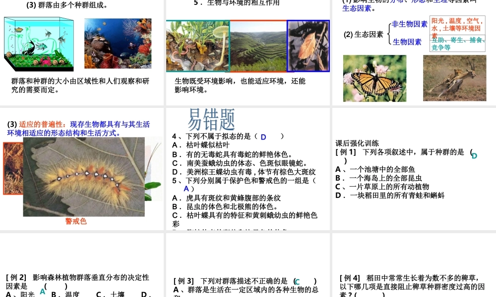 九年级生物 种群和群落 课件