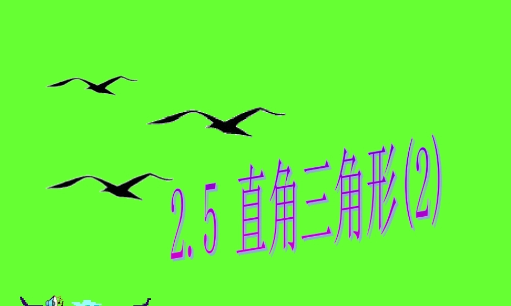 八年级数学直角三角形课件2 浙教版 课件