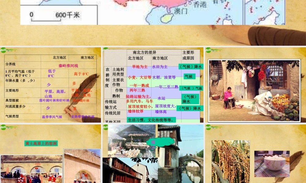 八年级地理下册 北方地区和南方地区 人教新课标版 课件