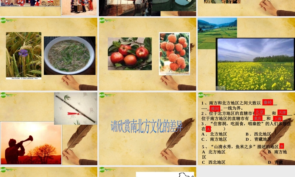 八年级地理下册 北方地区和南方地区 人教新课标版 课件