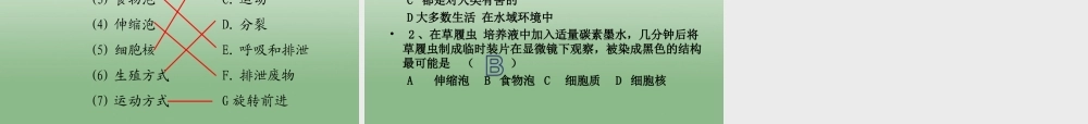 七年级生物下册 第二章 第四节 单细胞生物课件 新人教版 课件