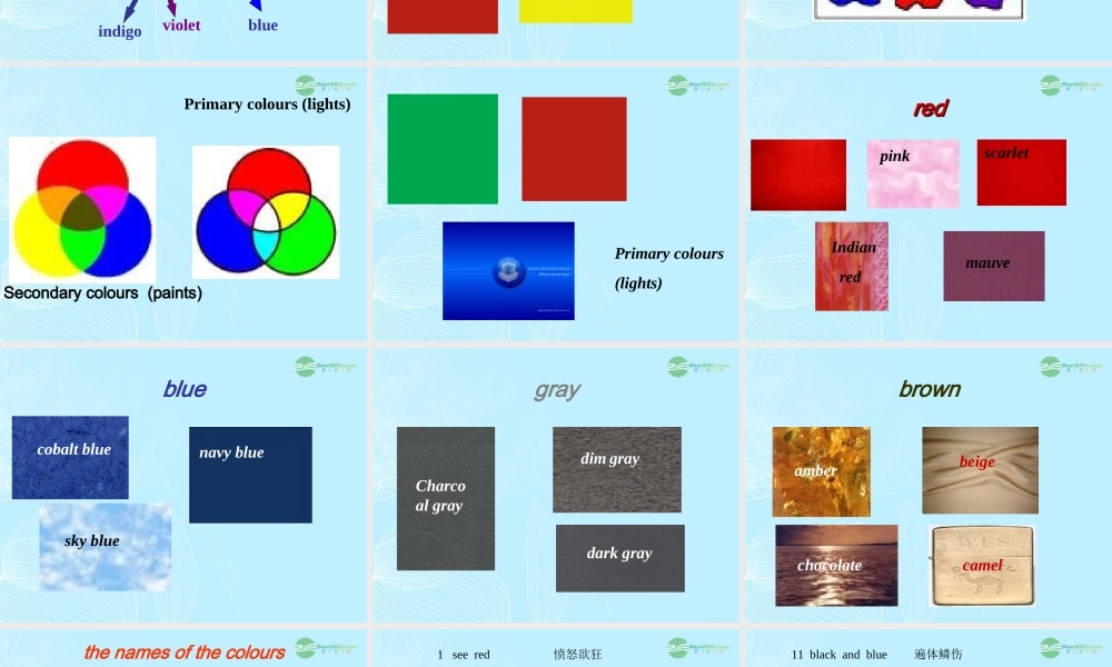 九年级英语上册 unit 2(colours)welcome to the unit课件 牛津译林版 课件