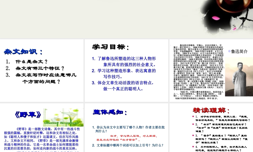 八年级语文下册(聪明人和傻子和奴才)课件1 长春版 课件