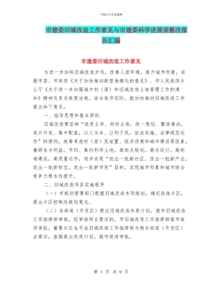 市建委旧城改造工作意见与市建委科学发展观整改报告汇编