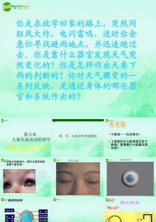 七年级生物下册 人体对外界的感觉 眼和视觉课件 人教新课标版 课件