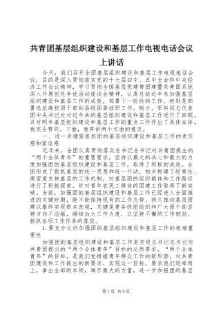 共青团基层组织建设和基层工作电视电话会议上讲话