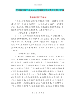 市招商引资工作总结与市招商引资自查汇报范文汇编