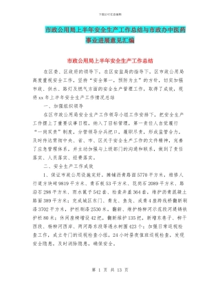市政公用局上半年安全生产工作总结与市政办中医药事业发展意见汇编.doc
