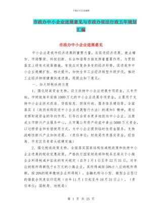 市政办中小企业发展意见与市政办依法行政五年规划汇编