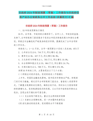 市政府2024年财政预算工作报告与市政府信息产业办公室政务公开工作总结(多篇范文)汇编