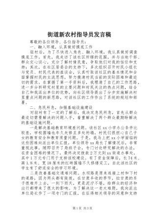 街道新农村指导员发言稿