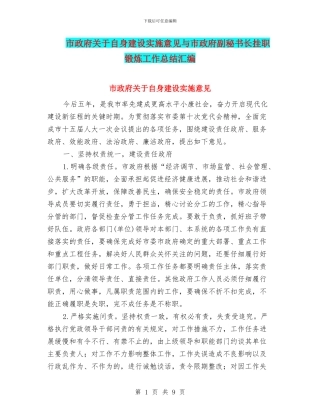 市政府关于自身建设实施意见与市政府副秘书长挂职锻炼工作总结汇编