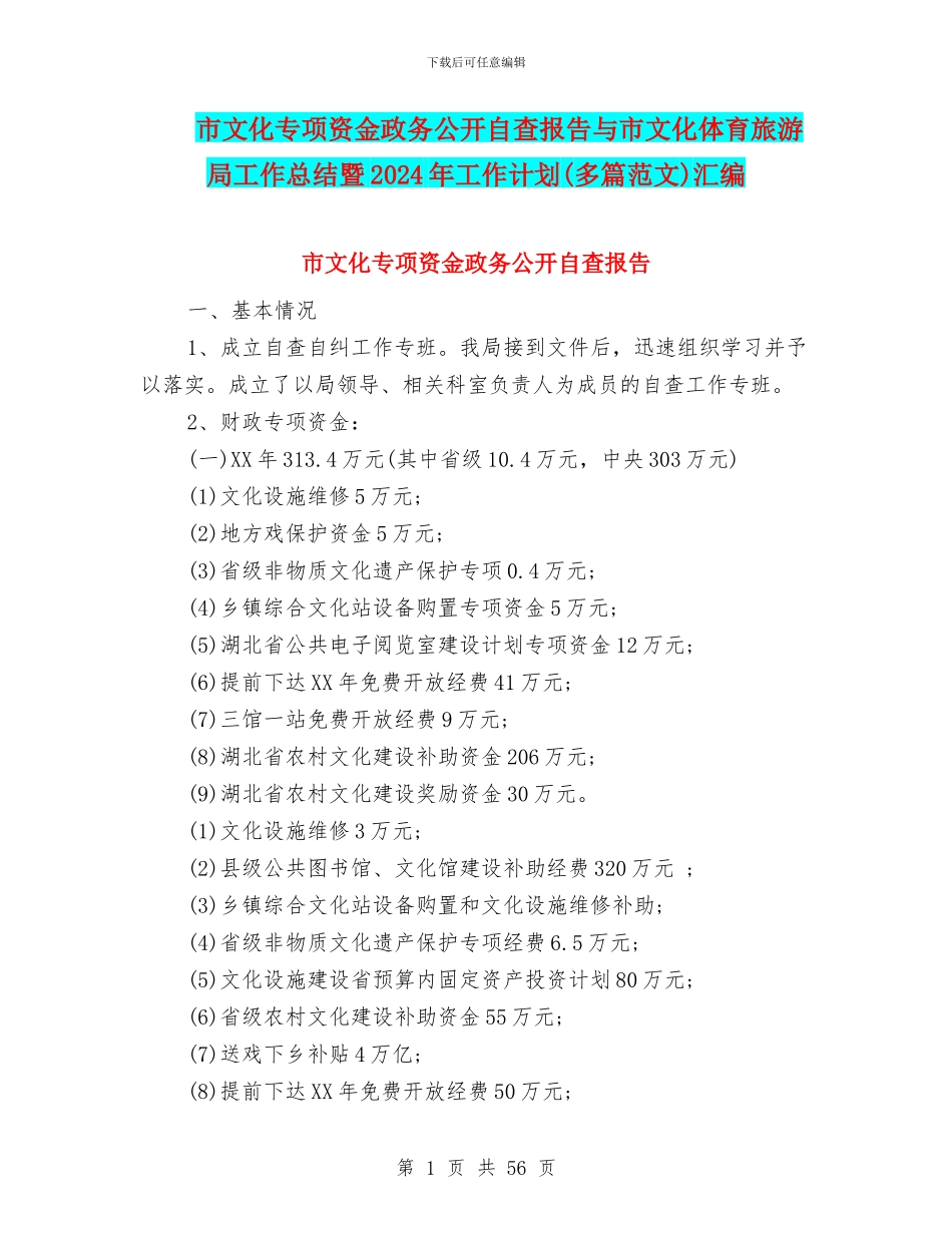 市文化专项资金政务公开自查报告与市文化体育旅游局工作总结暨2024年工作计划汇编_第1页