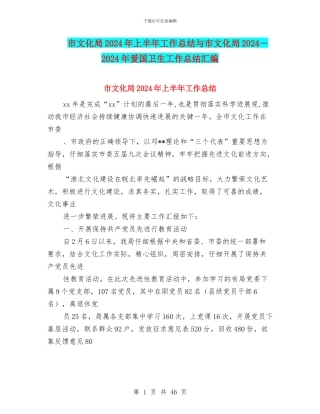 市文化局2024年上半年工作总结与市文化局2024